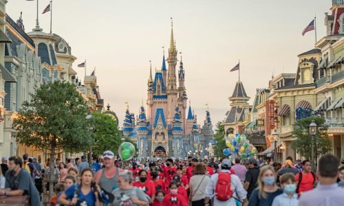 pexels-davidguerrero-8184012