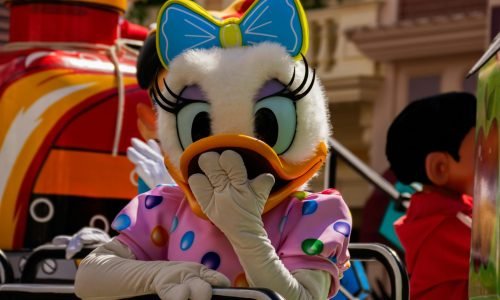 pexels-disneygraphe-22814437