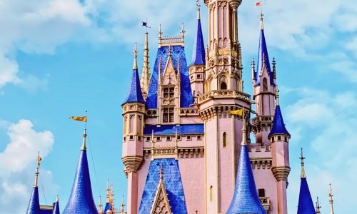 pexels-hailey-smith-1727830059-27977519