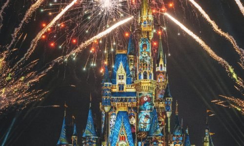 pexels-rick98-3428285