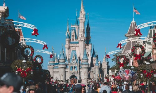 pexels-thatguycraig000-3411132